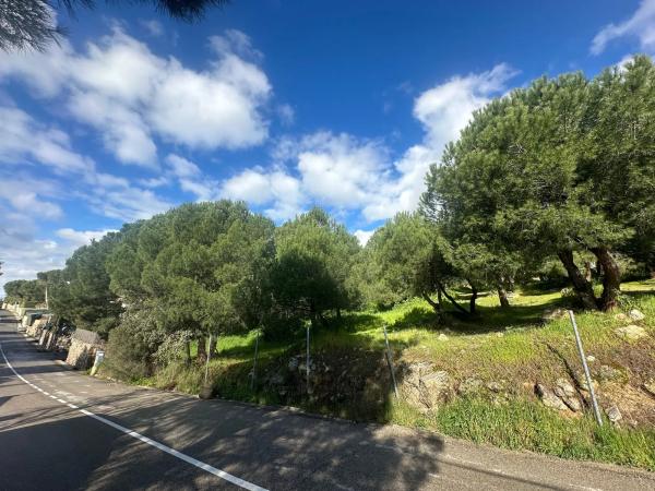 Terreno en calle Particular del Peñasco
