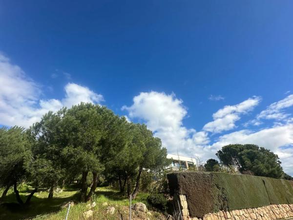 Terreno en avenida de la Loma