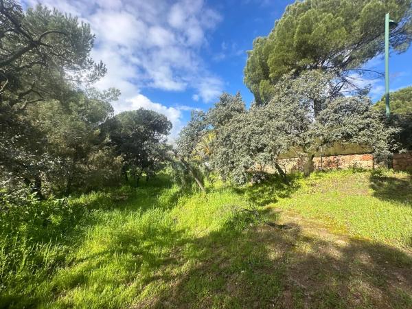 Terreno en avenida de la Loma