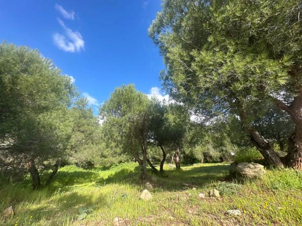Terreno en avenida de la Loma