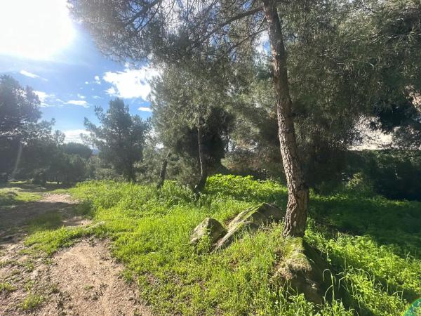 Terreno en avenida de la Loma