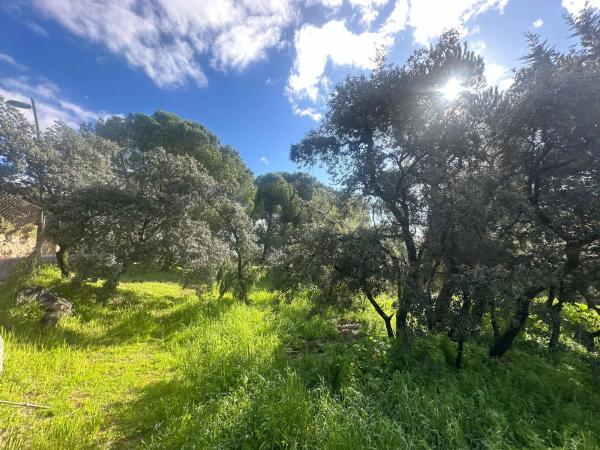 Terreno en avenida de la Loma