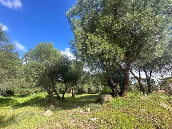 Terreno en avenida de la Loma