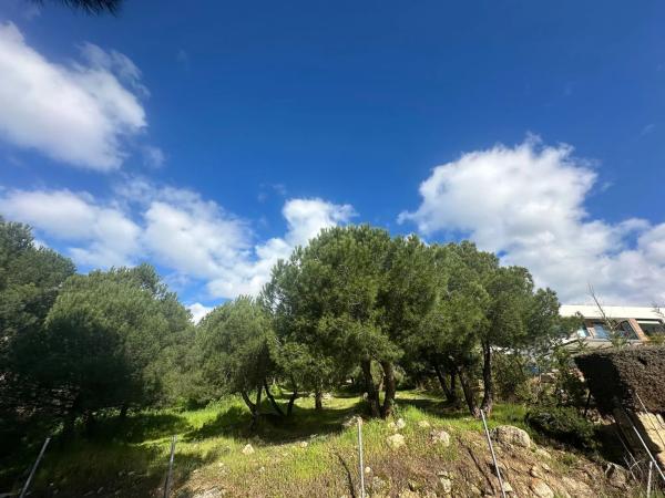 Terreno en avenida de la Loma