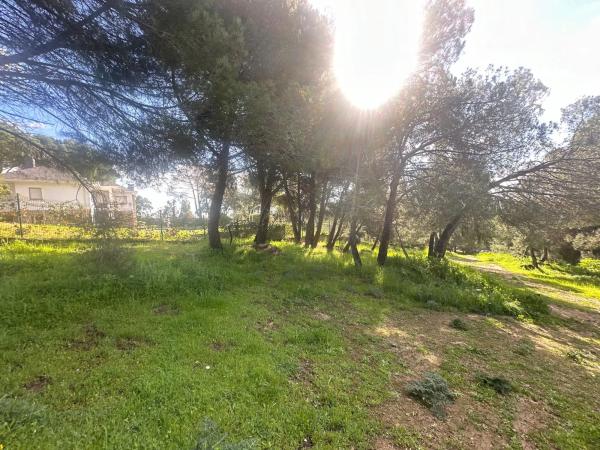 Terreno en avenida de la Loma
