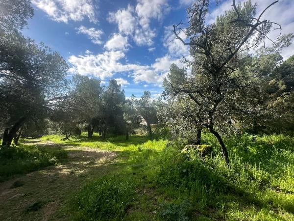 Terreno en avenida de la Loma