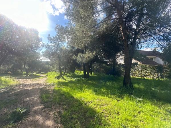 Terreno en avenida de la Loma
