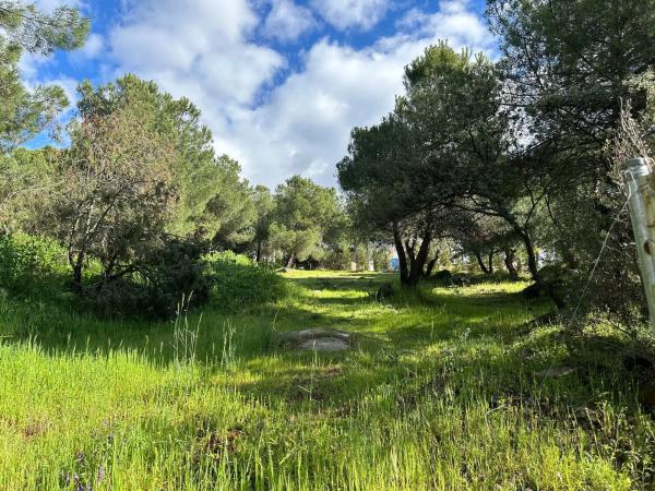 Terreno en avenida de la Loma