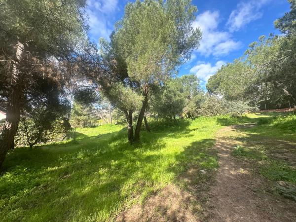 Terreno en avenida de la Loma