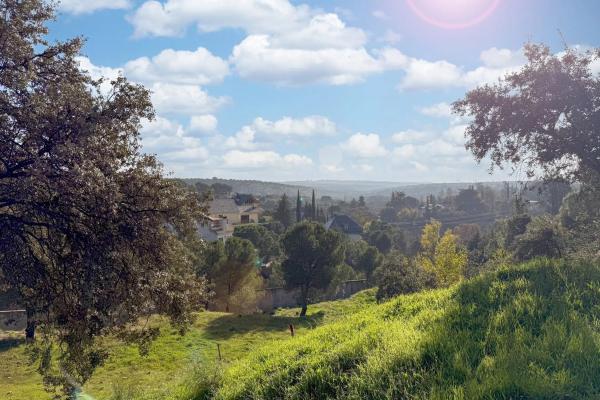 Terreno en avenida del Tomillar, 38