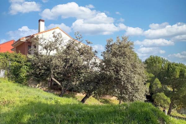 Terreno en avenida del Tomillar, 38
