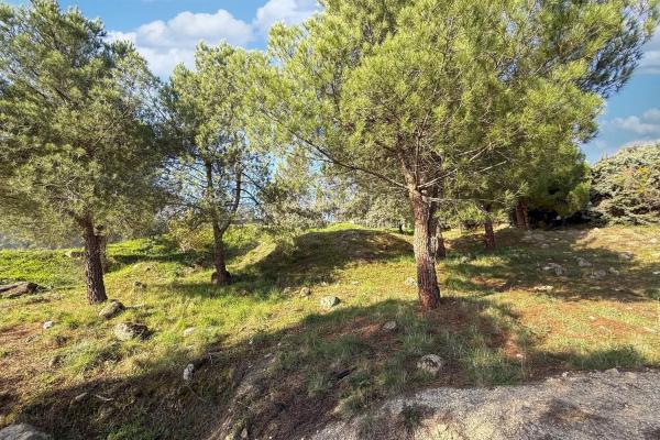 Terreno en avenida del Tomillar, 38