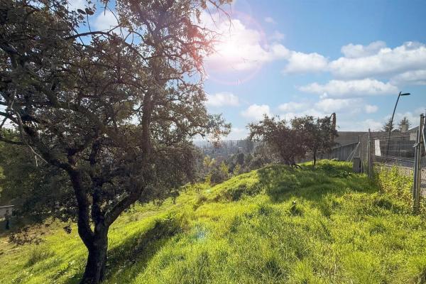 Terreno en avenida del Tomillar, 38