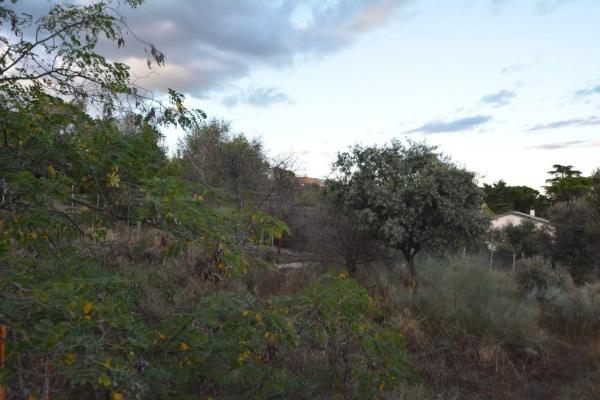 Terreno en Barrio El Peñalar - Arroyo de Trofas - Montealegre