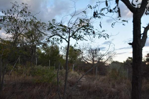 Terreno en Barrio El Peñalar - Arroyo de Trofas - Montealegre