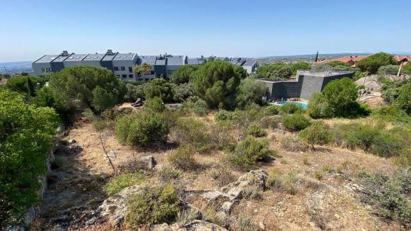 Terreno en calle Abeto, 1