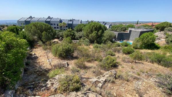 Terreno en calle Abeto, 1