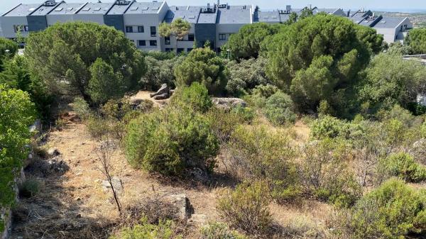 Terreno en calle Abeto, 1