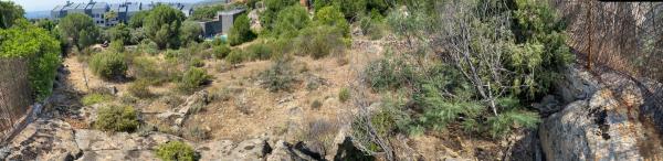 Terreno en calle Abeto, 1