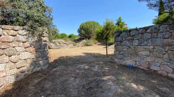 Terreno en calle Abeto, 1