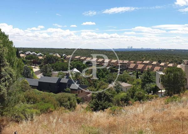 Terreno en avenida de la Loma