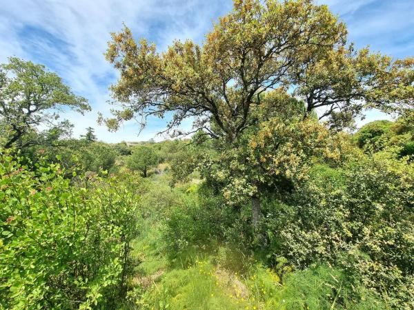 Terreno en calle Fuente del Cerro