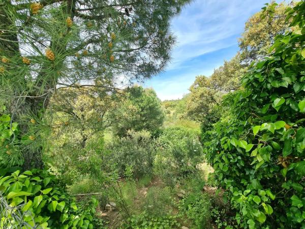 Terreno en calle Fuente del Cerro
