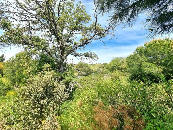 Terreno en calle Fuente del Cerro