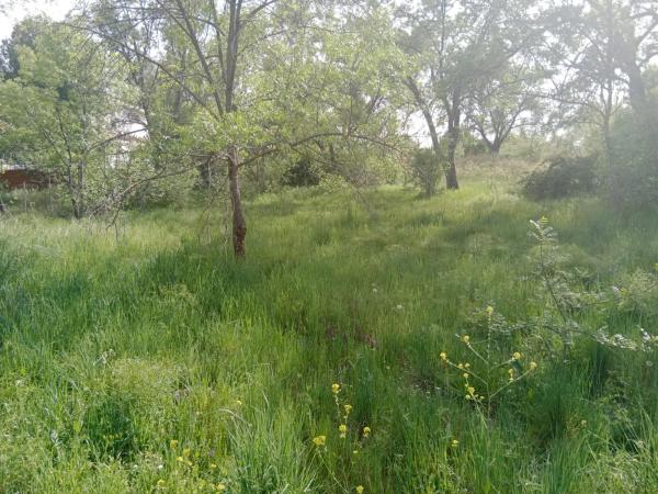 Terreno en avenida De Las Rozas, 9