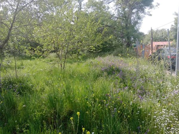 Terreno en avenida De Las Rozas, 9