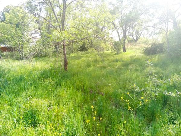 Terreno en avenida De Las Rozas, 9