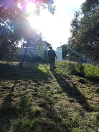 Terreno en avenida De Las Rozas s/n sn
