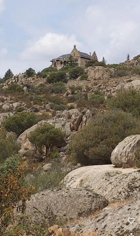 Terreno en calle Abeto, 38