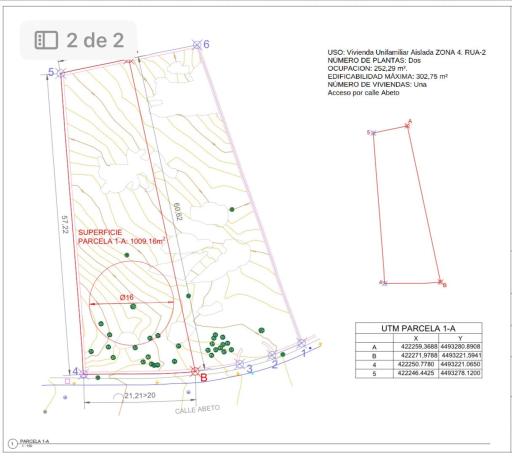 Terreno en calle Abeto, 38