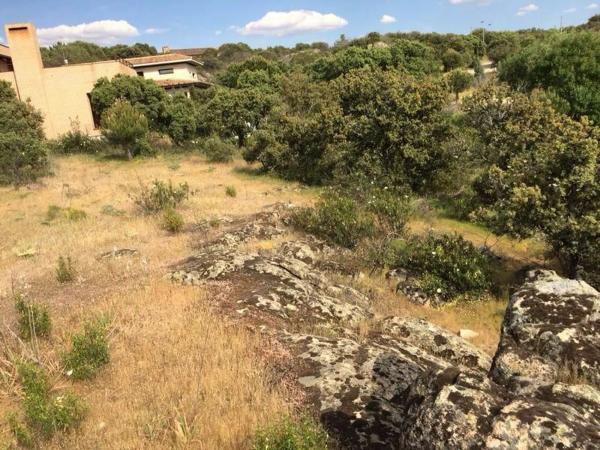 Terreno en calle Fuente del Cerro, 5
