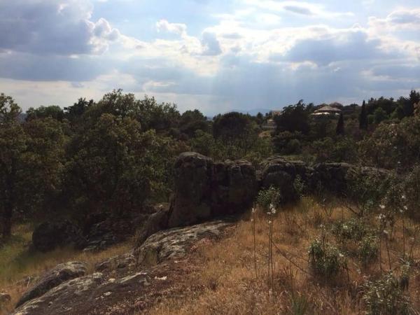 Terreno en calle Fuente del Cerro, 5