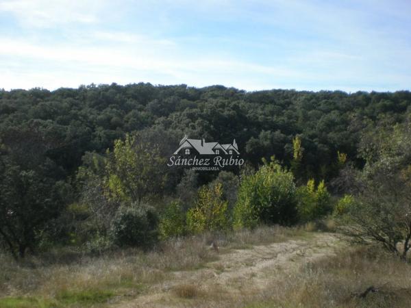 Terreno en Av. del Pardo, Torrelodones s/n
