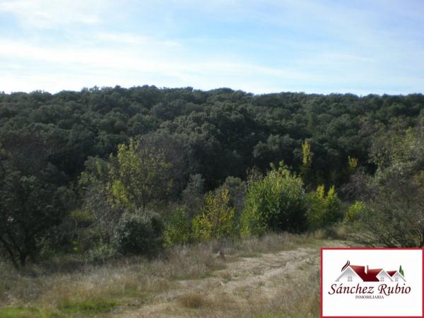 Terreno en Av. del Pardo, Torrelodones s/n