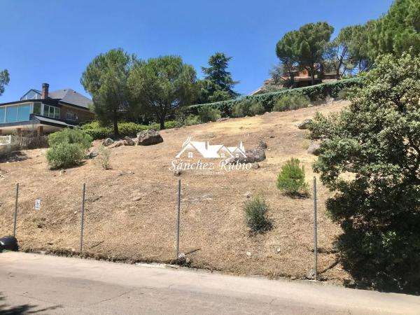 Terreno en avenida del Lago s/n