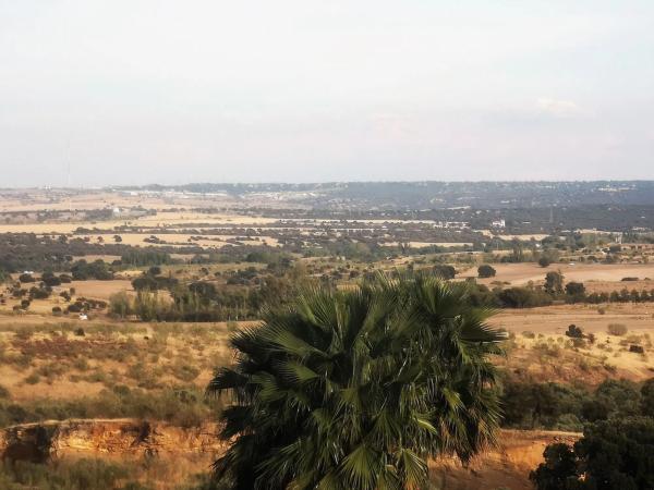 Terreno en Pino Alto - Navarredonda