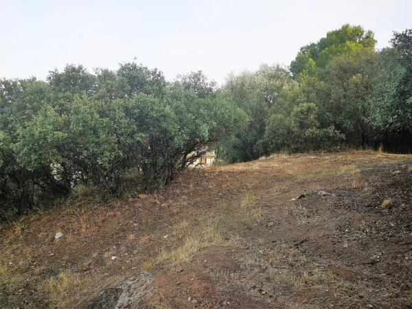 Terreno en Pino Alto - Navarredonda