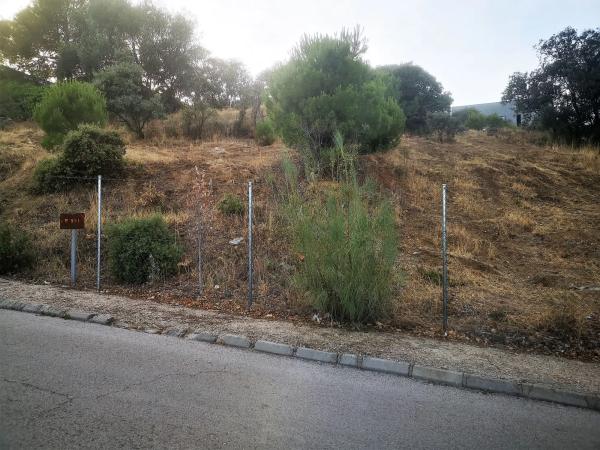 Terreno en Pino Alto - Navarredonda