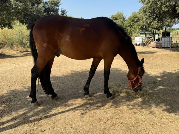 Terreno en M-600, km 27