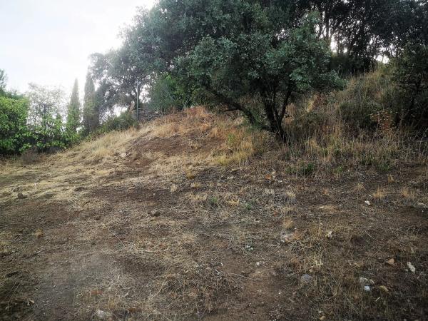 Terreno en Pino Alto - Navarredonda