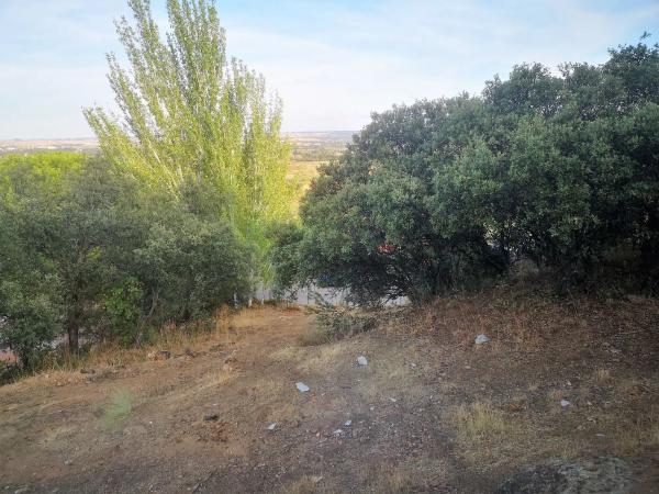 Terreno en Pino Alto - Navarredonda