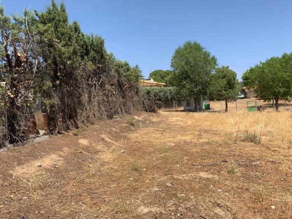 Terreno en calle Castillo de Monteagudo, 10