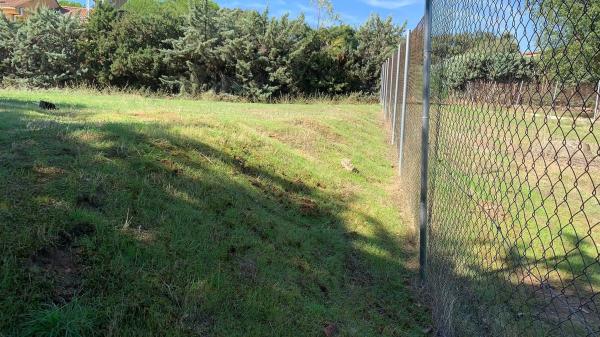 Terreno en calle Castillo de Monteagudo, 10