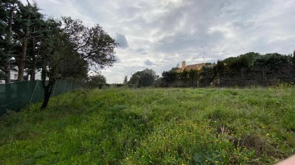 Terreno en calle Castillo de Monteagudo, 10