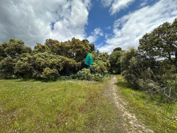 Terreno en calle Castillo de Almansa s/n