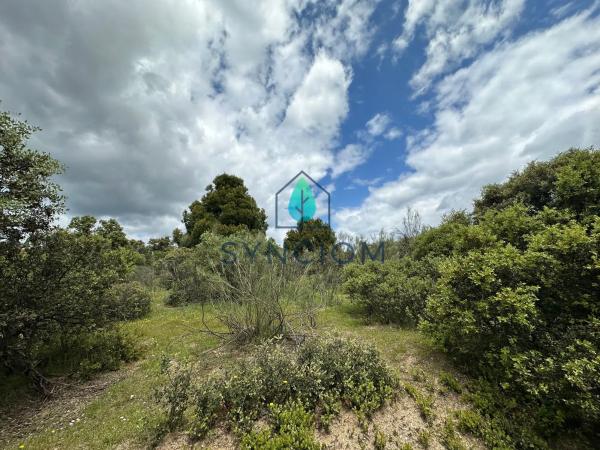 Terreno en calle Castillo de Almansa s/n